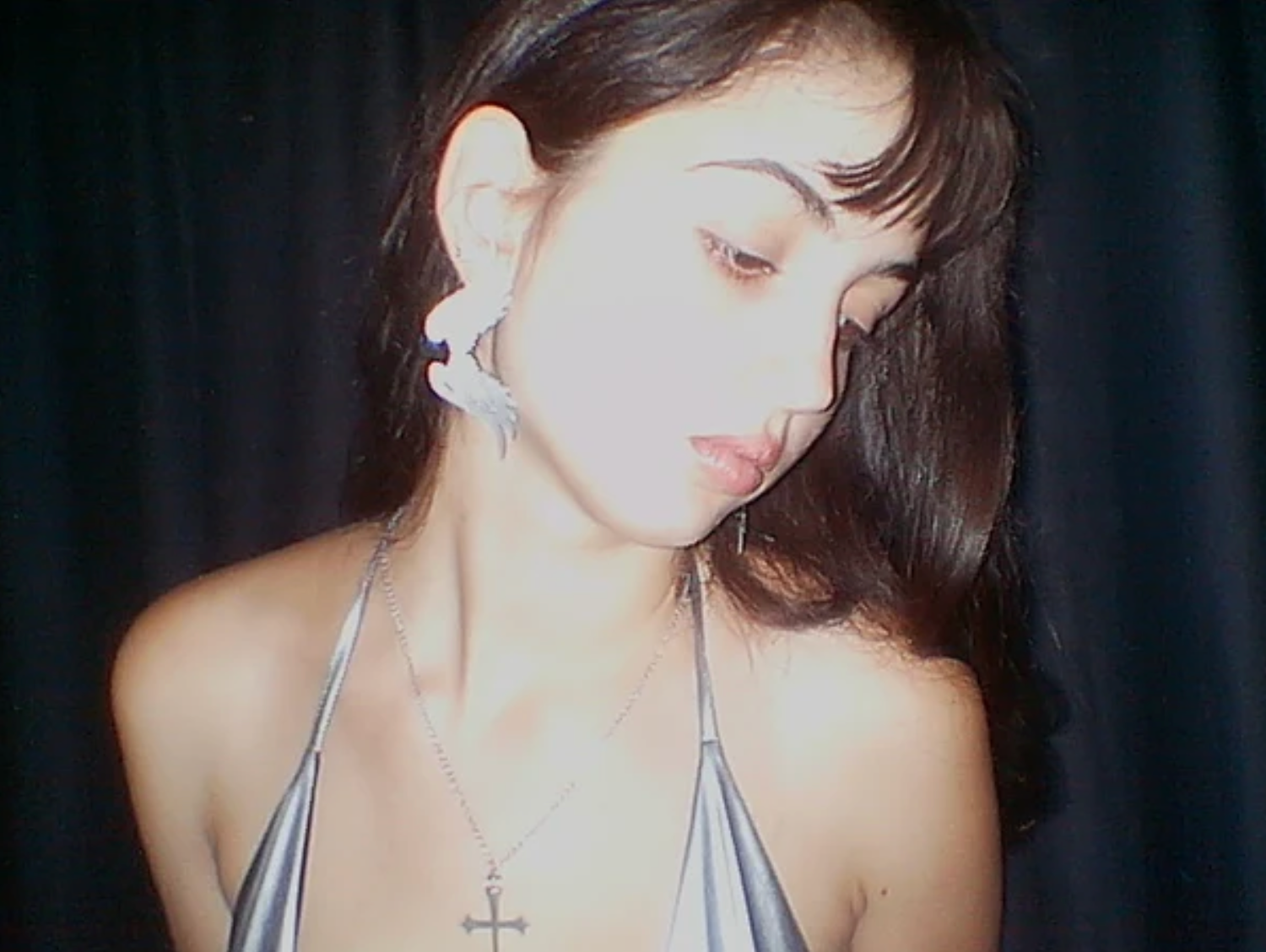 Wing Earrings