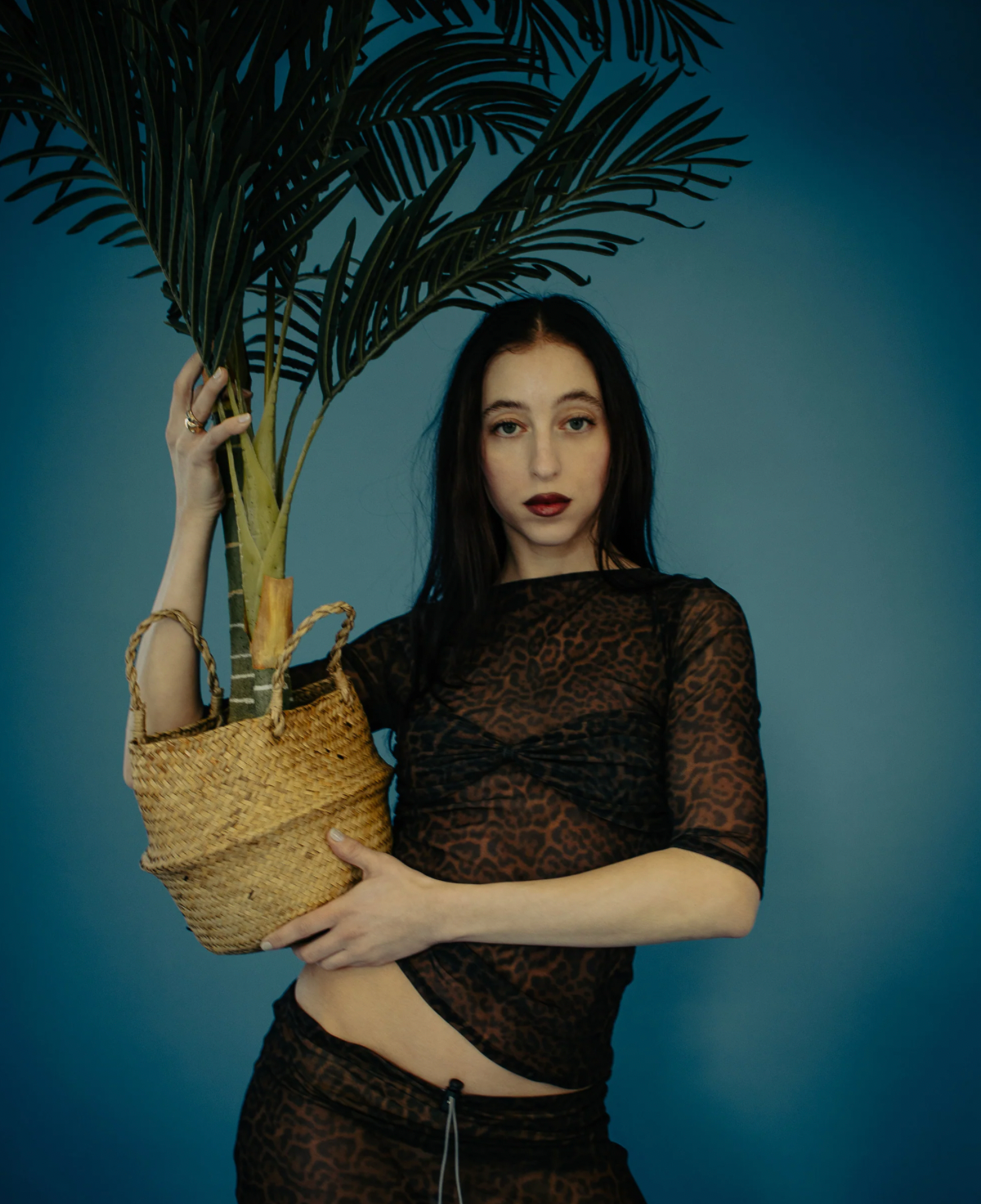 Tulip top