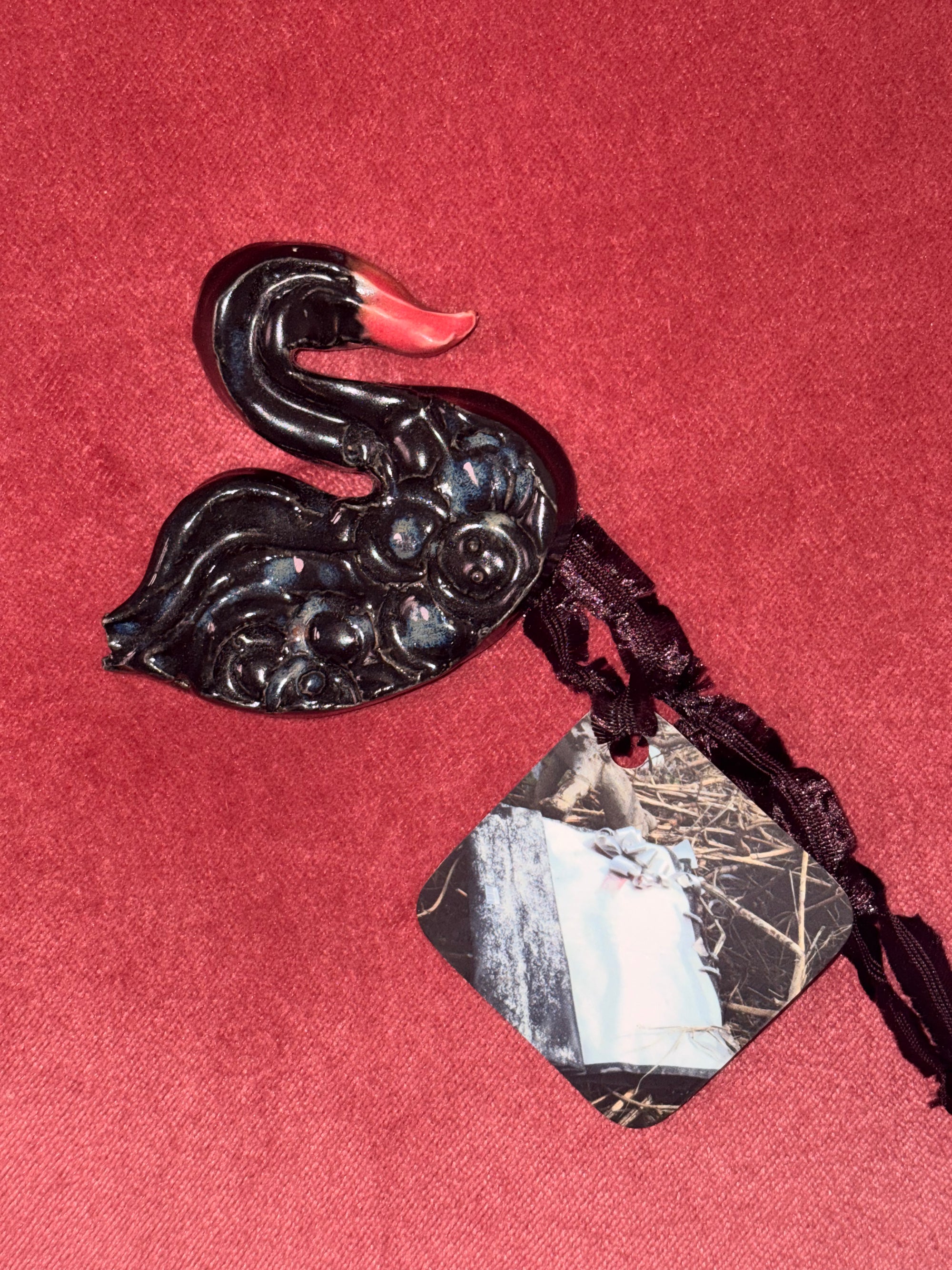 Swan Broch