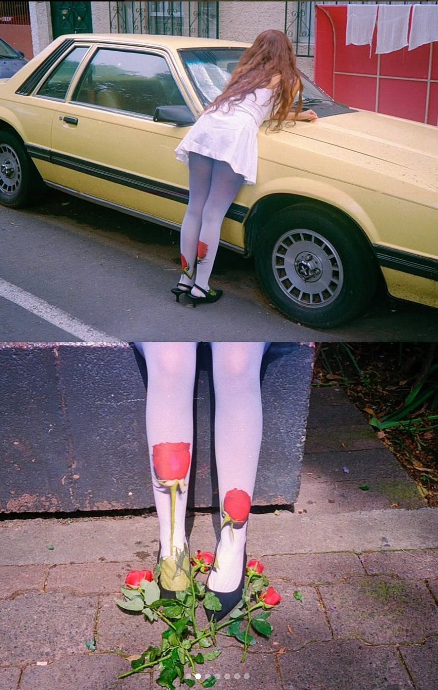 Rosa tights