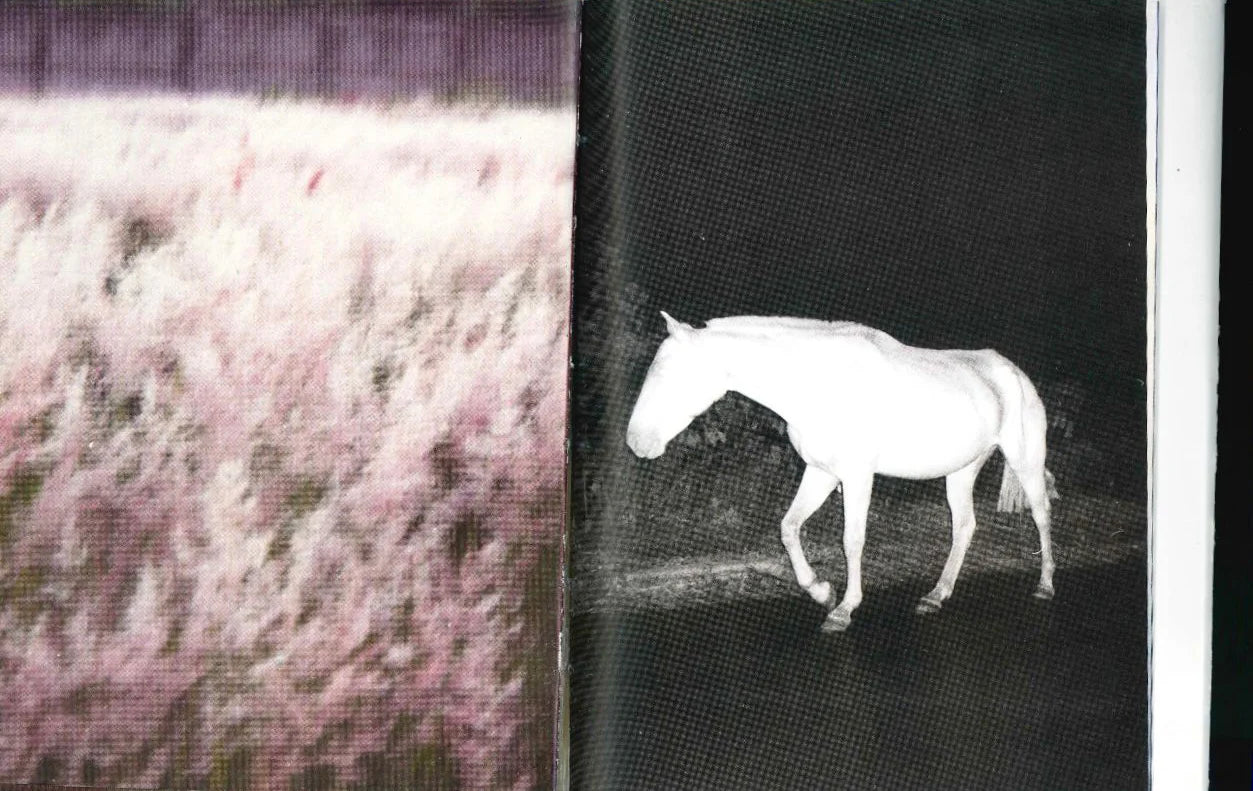 A Flor de Piel// Dani Ruiz de Esparza
