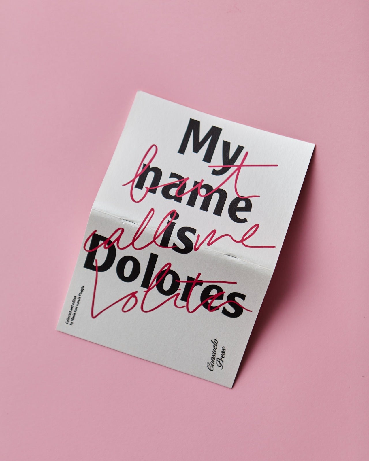 MY NAME IS DOLORES BOOK