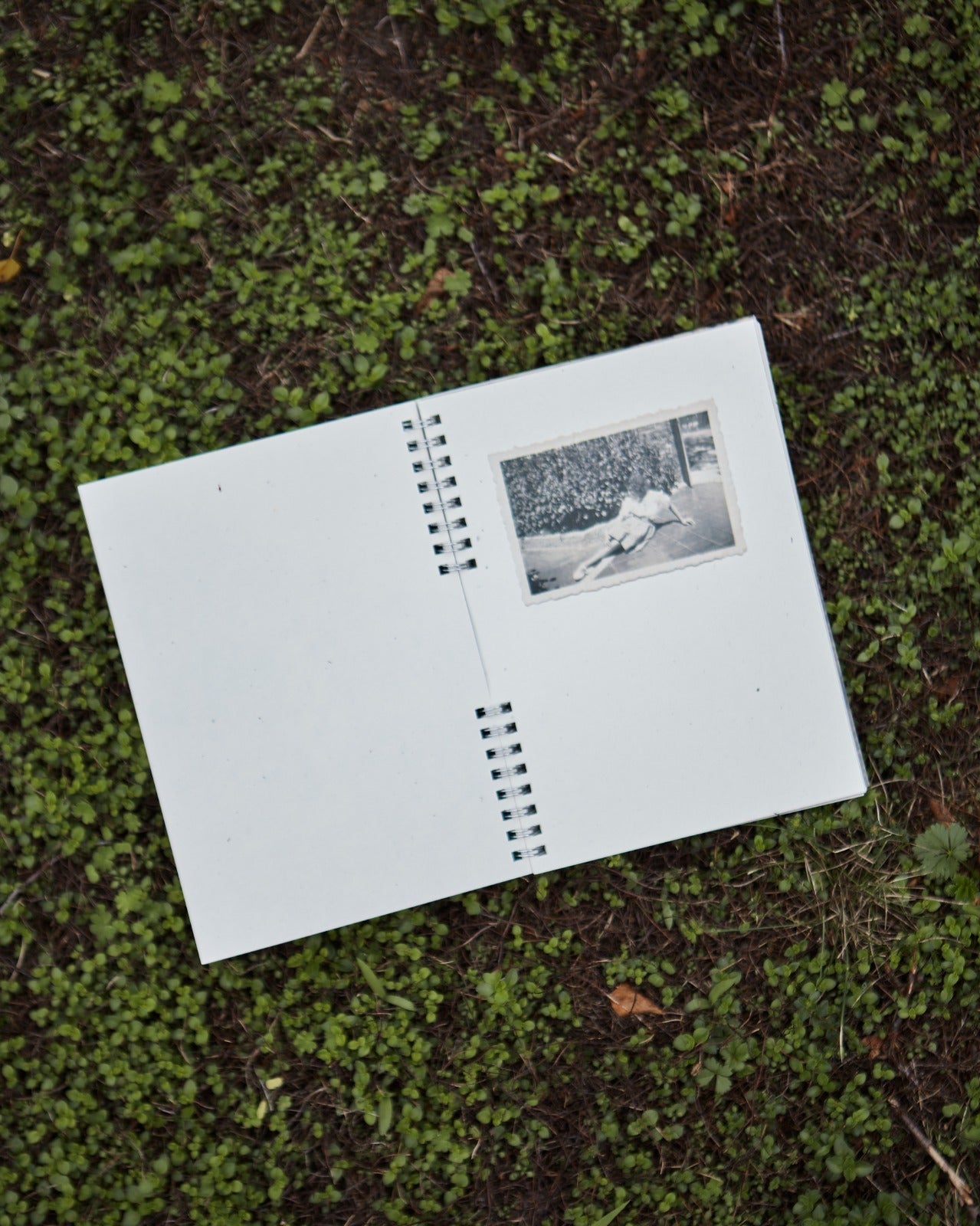 SILVIA BOOK