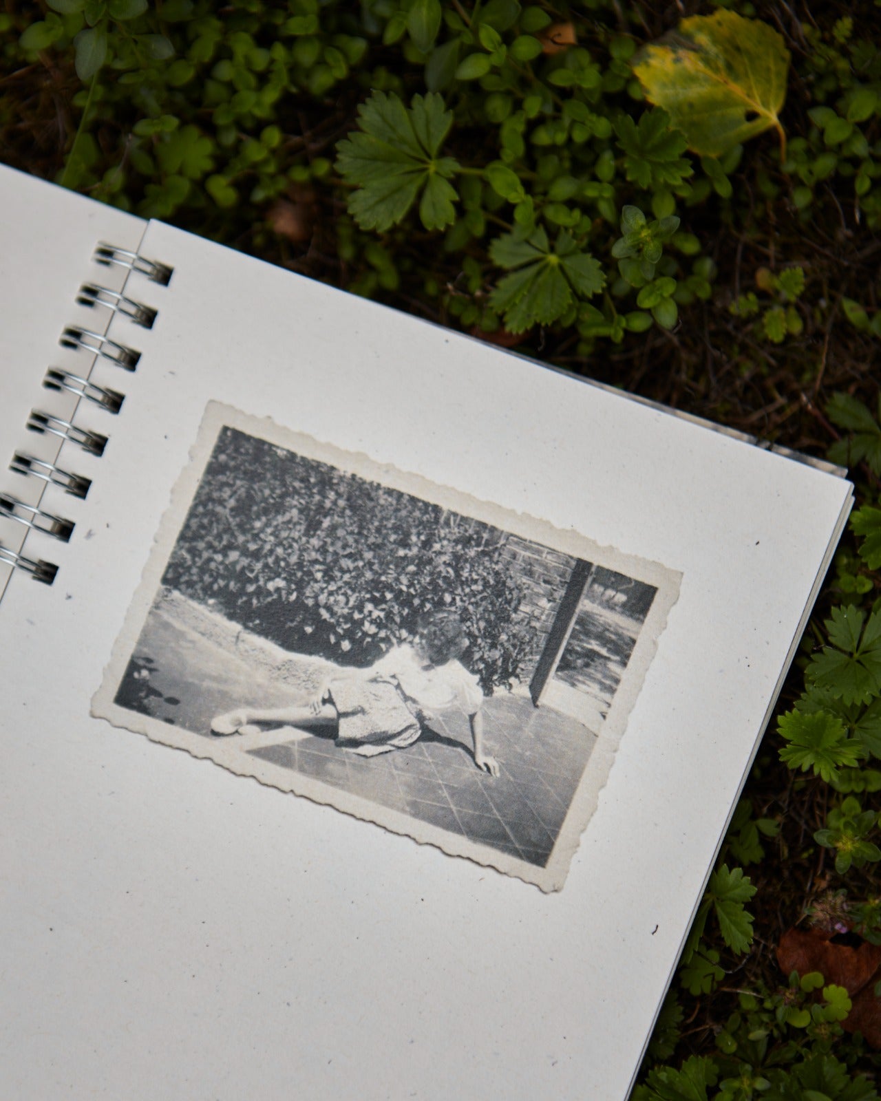 SILVIA BOOK