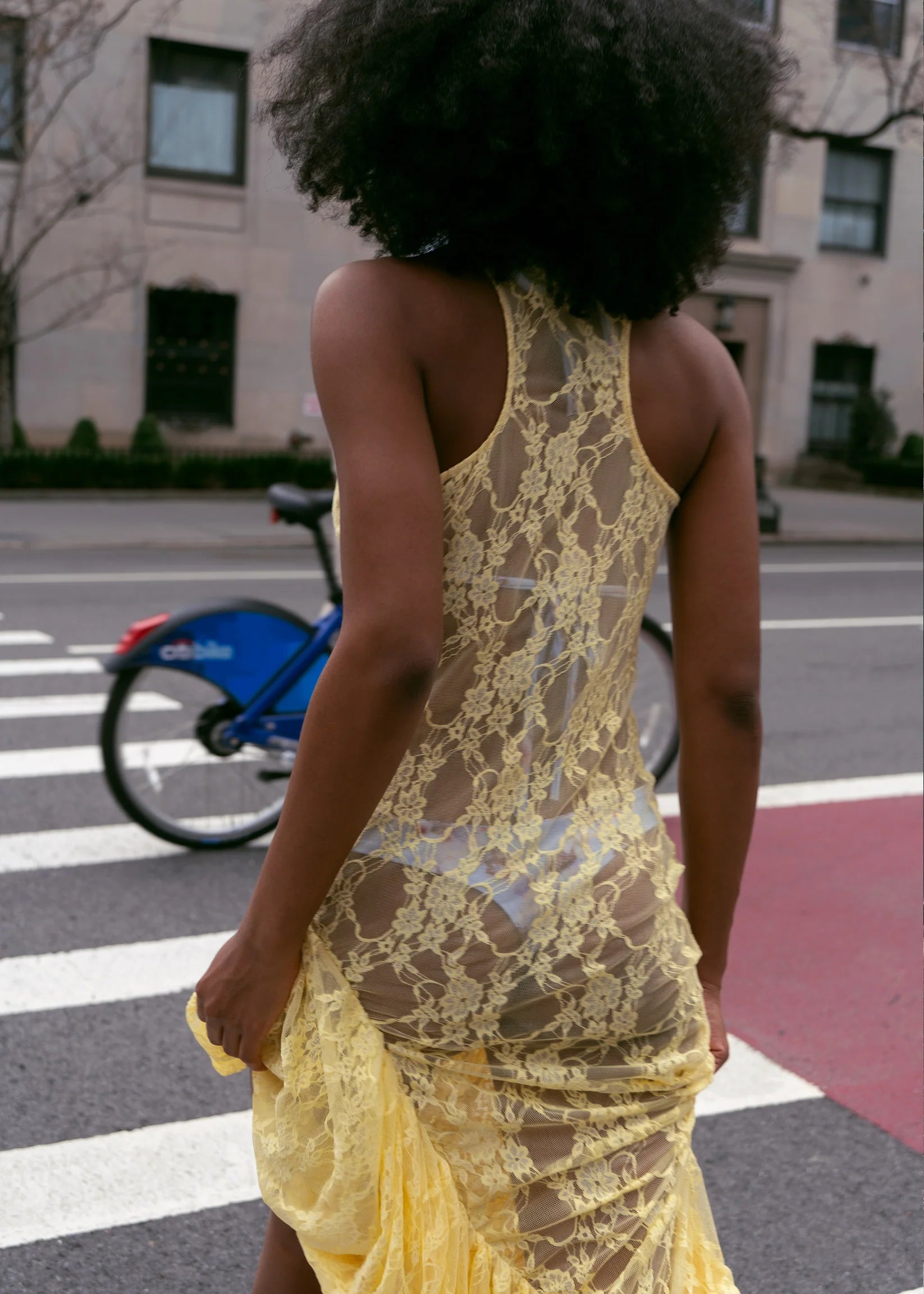Tea Lace Dress