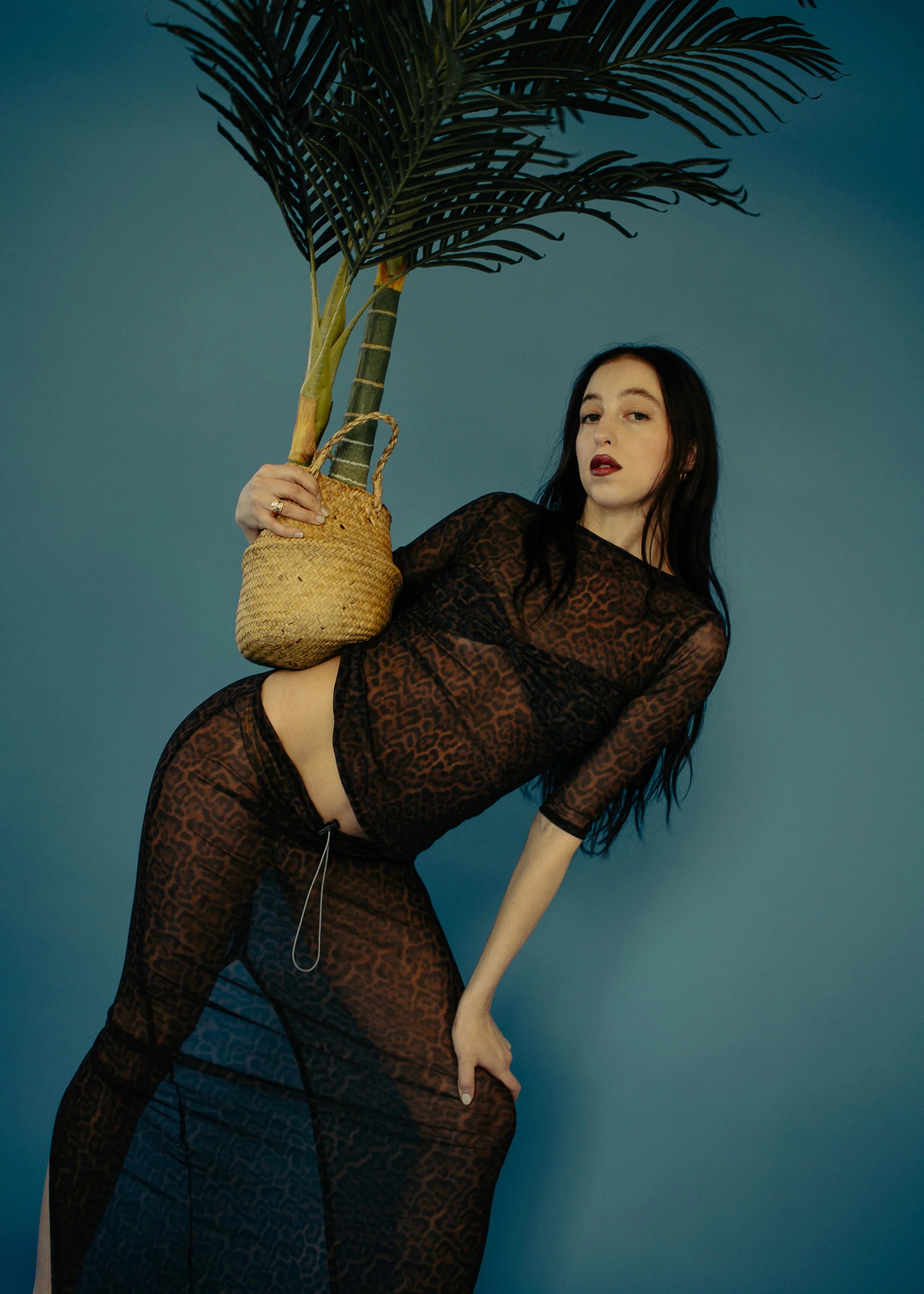 Mesh Tube Skirt